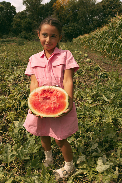 Riley Dress - Pink